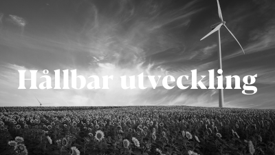 Hållbar utveckling - Ekologisk, social och ekonomisk utveckling